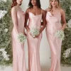 Budget 🎁 Pretty Lavish Keisha Maxi Bridesmaid 👗 Dress Matte True Blush 🎁