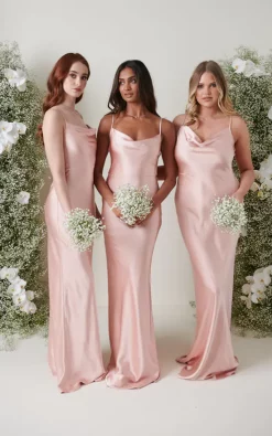 Budget 🎁 Pretty Lavish Keisha Maxi Bridesmaid 👗 Dress Matte True Blush 🎁