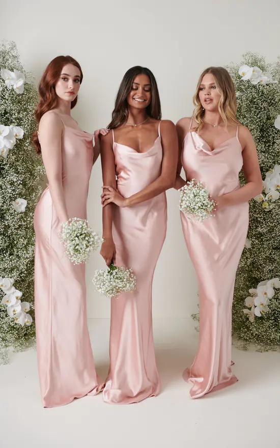 Budget π Pretty Lavish Keisha Maxi Bridesmaid π Dress Matte True Blush π 5 Budget π Pretty Lavish Keisha Maxi Bridesmaid π Dress Matte True Blush π - Image 3