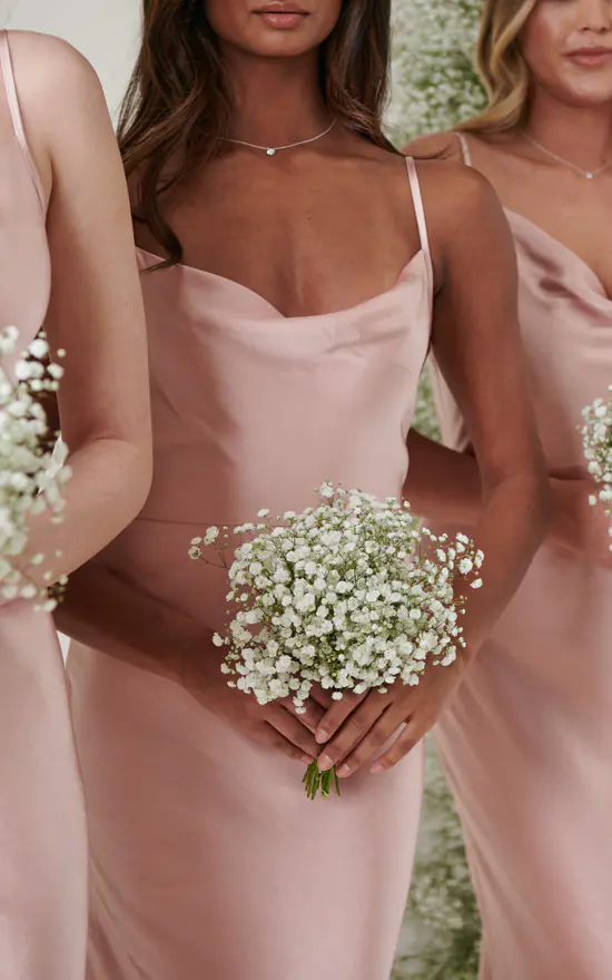 Budget π Pretty Lavish Keisha Maxi Bridesmaid π Dress Matte True Blush π 6 Budget π Pretty Lavish Keisha Maxi Bridesmaid π Dress Matte True Blush π - Image 4