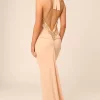 Best Sale 🧨 Honor Gold Sasha Blush Backless Maxi 👗 Dress With Train 🤩 -Alie Street Shop SASHA MAXI BLUSH SIDE BACK 7X0A8396 copy