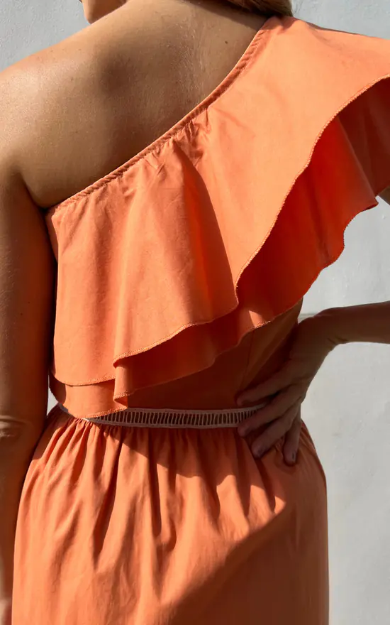 Deals π The Taylor Clothing One Shoulder Ruffle Trim Maxi π Dress In Cinnamon Color π 6 Deals π The Taylor Clothing One Shoulder Ruffle Trim Maxi π Dress In Cinnamon Color π - Image 4